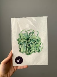 Image 2 of Tillandsia Streptophylla Original Watercolor Artwork