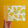 Drawing Sketchbook - A5 Landscape - Ginkgo leaves