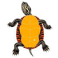 Image 1 of Eastern Painted Turtle 5" Sticker