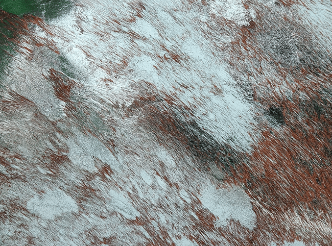 Ada - Green Acid Wash