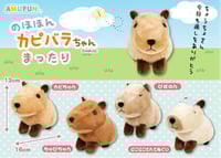 Capybara Plush (M)
