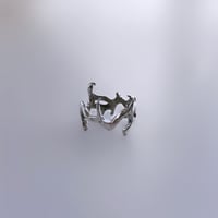 Image 1 of Metamorphosis