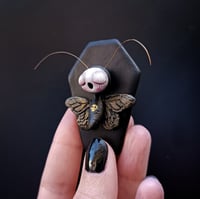 Image 3 of Black Moth 3