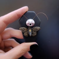 Image 2 of Black Moth 3