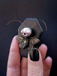 Image 1 of Black Moth 3