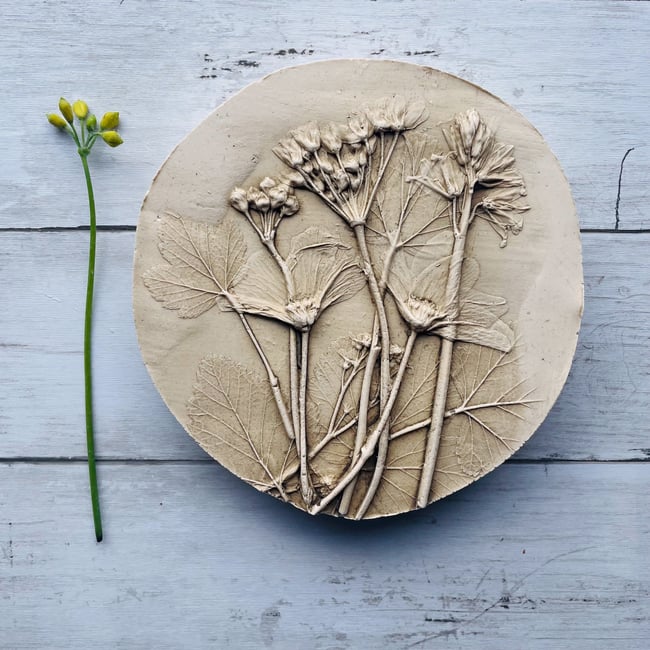 Botanical Plaster Casting Tamzin Harris