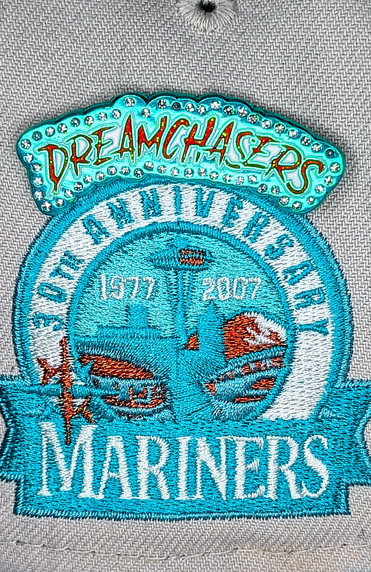 Image of DREAMCHASERS (Dolphins)