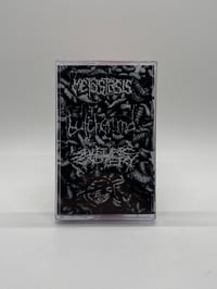 Image 1 of Metastasis // Sulfuric Cautery // Butcher M.D. split