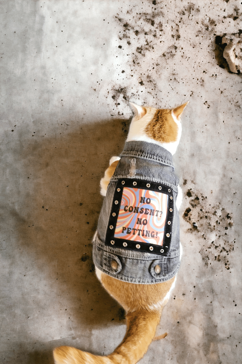 custom denim dog or cat battle vest No consent No petting