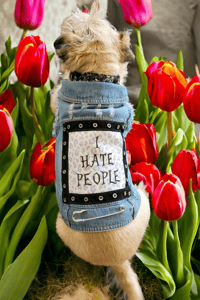 Image 1 of Dog & Cat battle custom denim battle vest "I HATE PEOPLE"