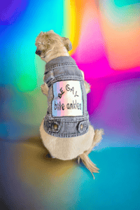 Image 2 of Dog & Cat denim battle vest LGBTQ friendly "BE GAY BITE ANKLES"