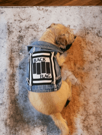 Image 2 of Black Flag band denim dog or cat battle vest 