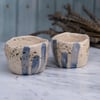 Set of cups