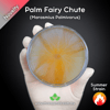 Palm Fairy Chute (Marasmius Palmivorus) Live Mycelium Mushroom Culture Spawn Seed