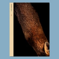 Image of FERÆ et son tirage de tête - LE MARTINET PÂLE