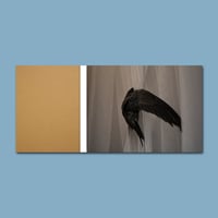 Image of FERÆ et son tirage de tête - LE JEU