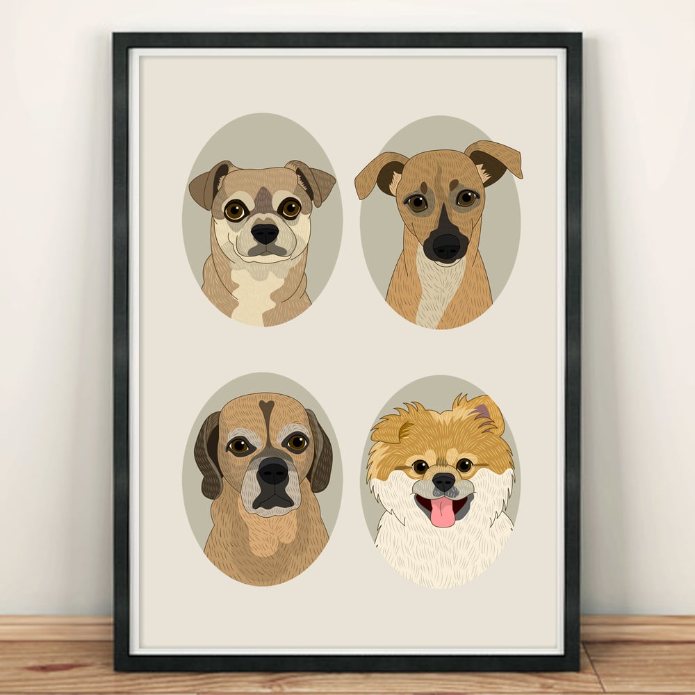 Image of 4 pet portraits. Dogs or Cats