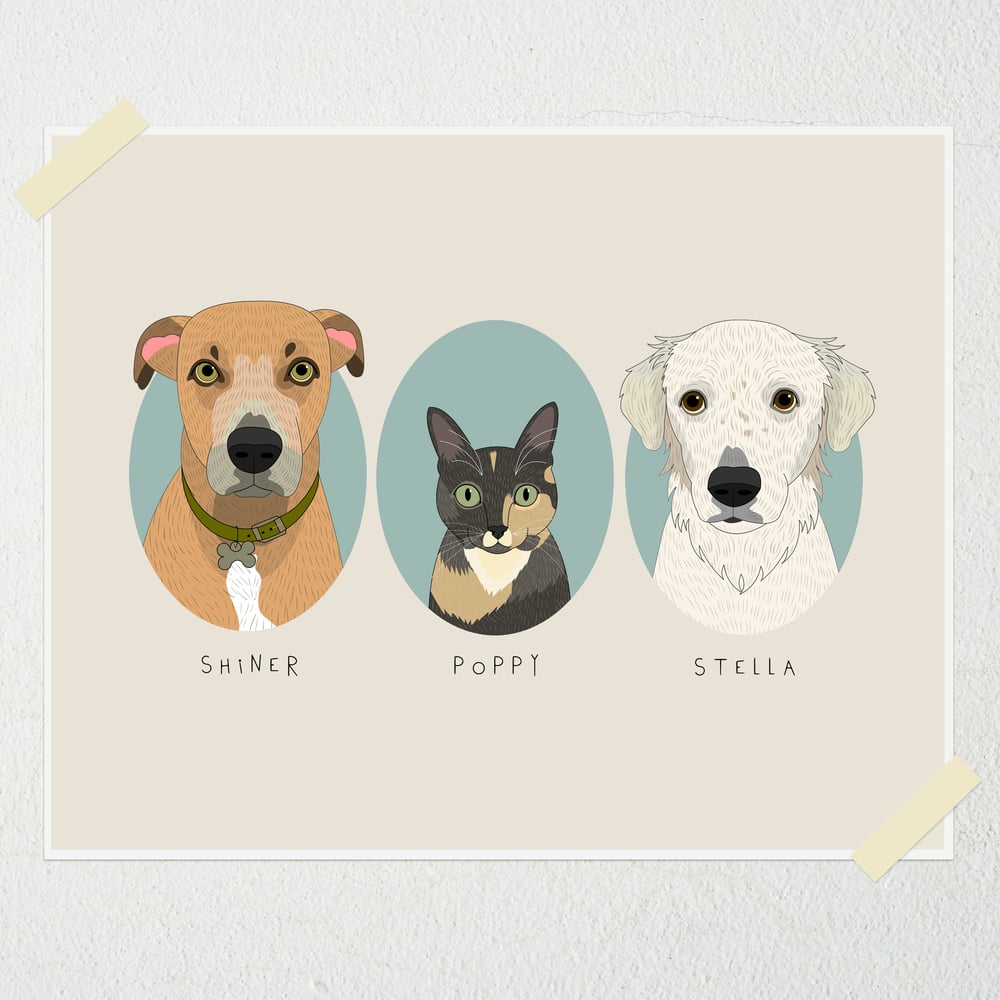 Image of 3 Pet portraits. Dog or Cats
