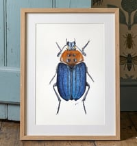 Image 4 of Carrion beetle watercolor illustration PRINT 