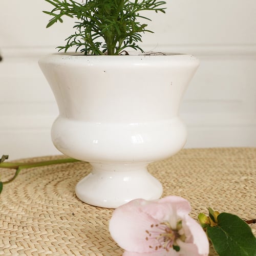 Image of Pot de fleurs en porcelaine 