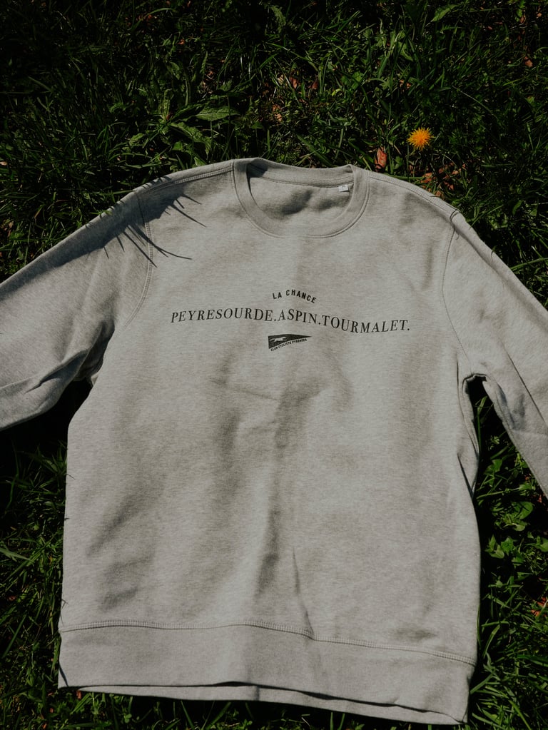 Aspin Capsule - Crewneck Grey Image 2