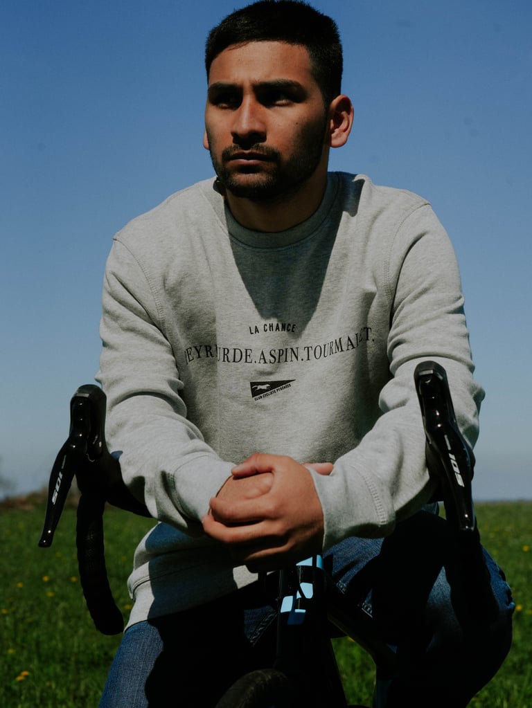 Aspin Capsule - Crewneck Grey Image 3