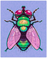 Image 1 of It's a Fly - Art Print