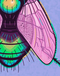 Image 3 of It's a Fly - Art Print