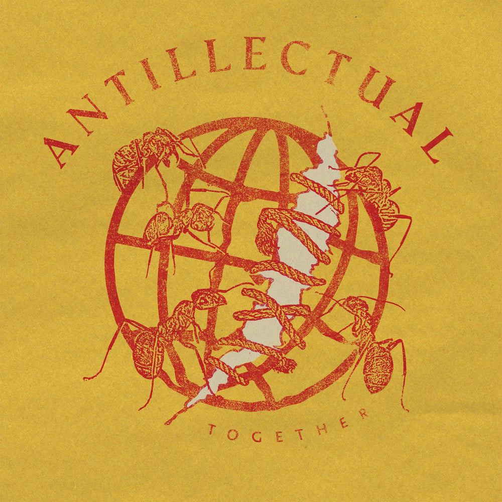 Image of ANTILLECTUAL "together" LP