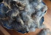 Silver Coopworth  - Washed Fleece