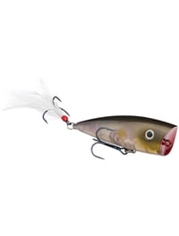 Image 3 of Strike King KVD Splash  Top Water Popper