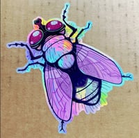 Holo-Fly Sticker