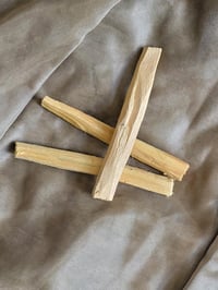 Image 2 of Palo Santo