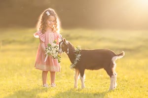 Image of Deposit - Destination Dream Session ($9999)