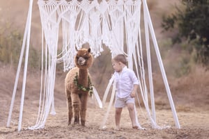 Image of Deposit - Destination Dream Session ($9999)