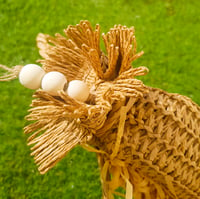 Image 2 of Natural Pinata Toy