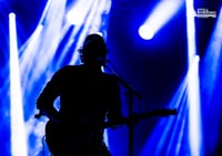 Frightened Rabbit Print no6