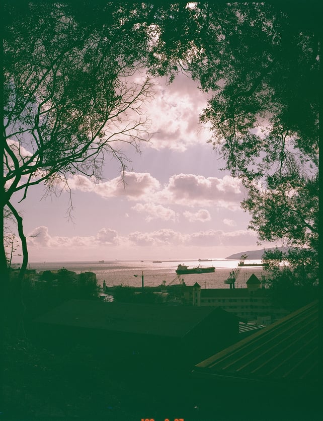 Image of dubblefilm bubblegum / 120 film