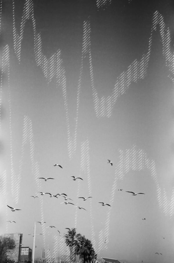 Image of dubblefilm GLITCH b&w