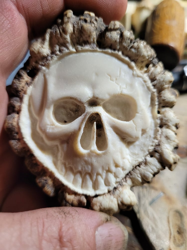 Image of Elk Antler Hand Carved Skull