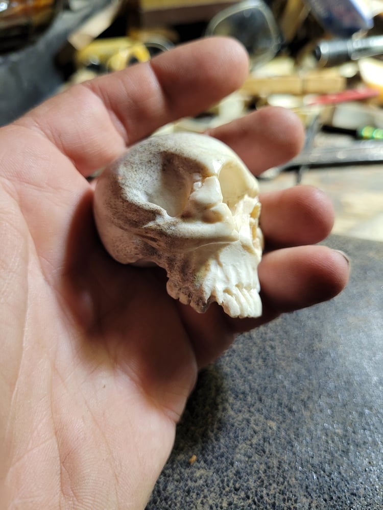 Image of Moose Antler Skull Carving