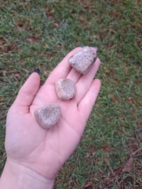 Image 2 of Fossil Coral Tumbles