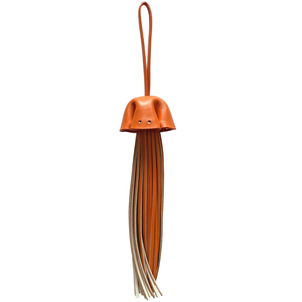 Image of Jellyfer long legs orange