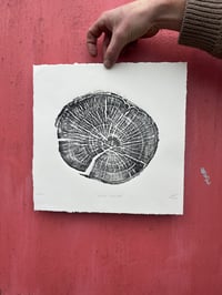 Image 1 of 'ULMUS PROCERA' End Grain Print 