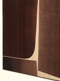 Image 4 of abstract silk composition (brown /red)