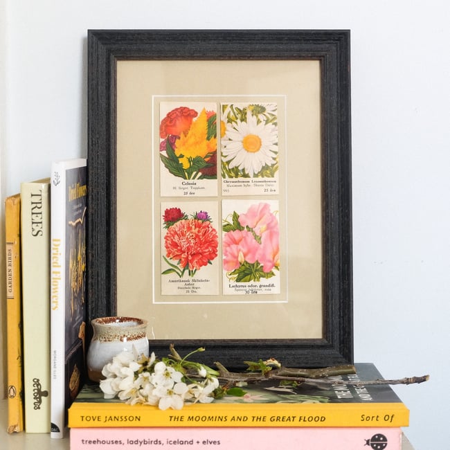 Framed Vintage Seed Packets