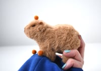 Image 4 of baby capybara