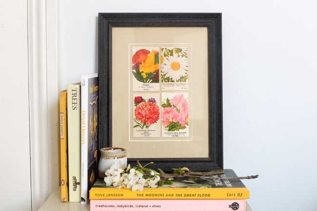 Framed Vintage Seed Packets