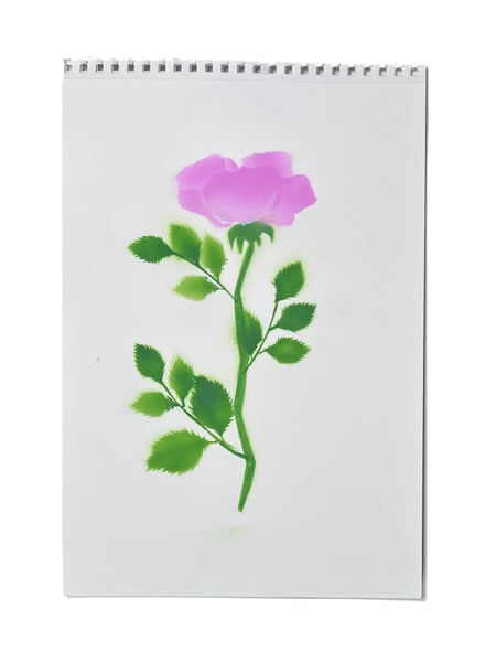 Image of Rose ‘Ulrich Brunner’ - 1 rose (6)