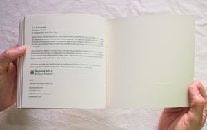 Image of Like things go away by Alyson Provax